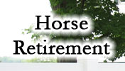 Horse Retirement